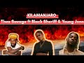 Tiwa Savage ft Black Sheriff & Young Jonn-Kilimanjaro(Official Lyrics)