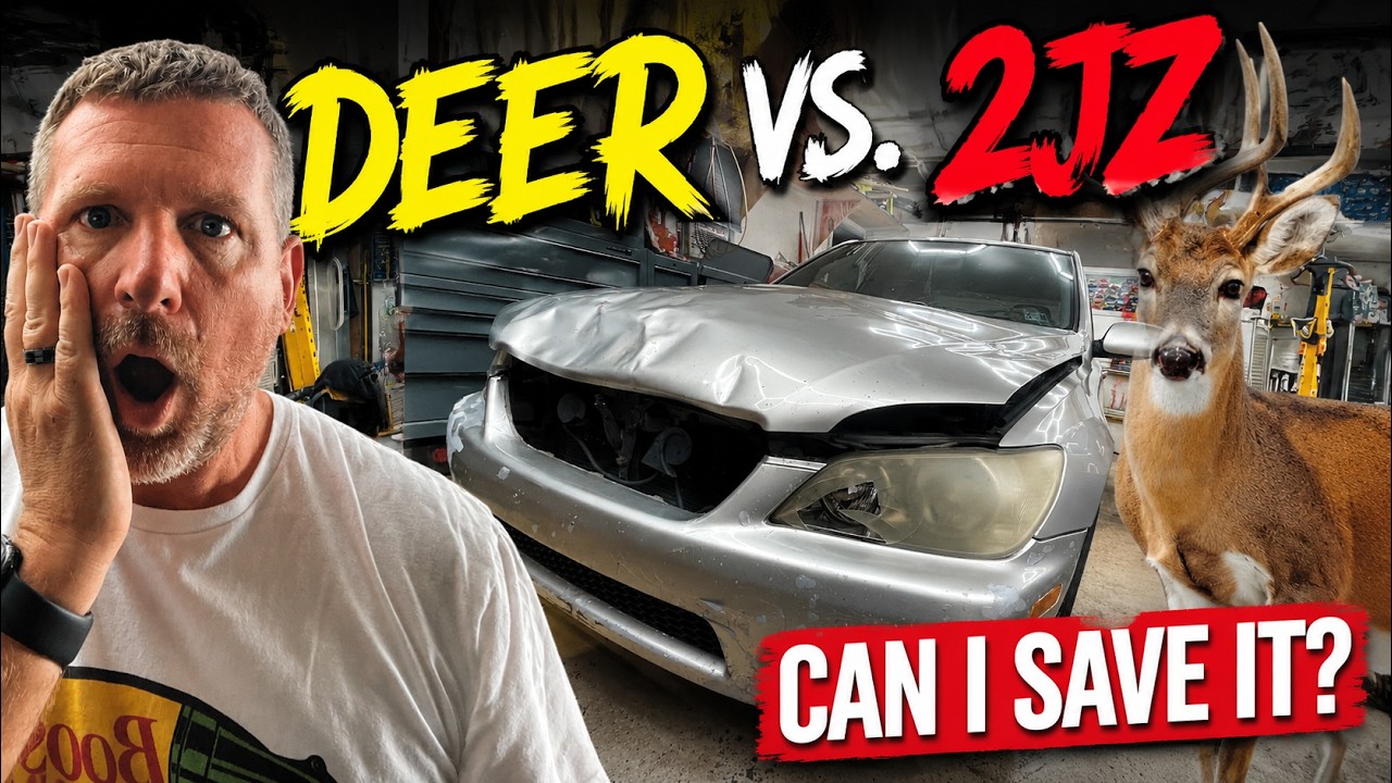 This Lexus IS300  Was Destroyed by a Deer...Can we save it?!