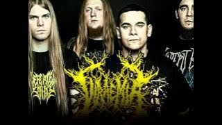 Technical Slamming Brutal Death Metal Breakdowns PART 1!