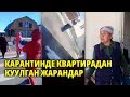 Карантинде квартирадан куулган жарандар