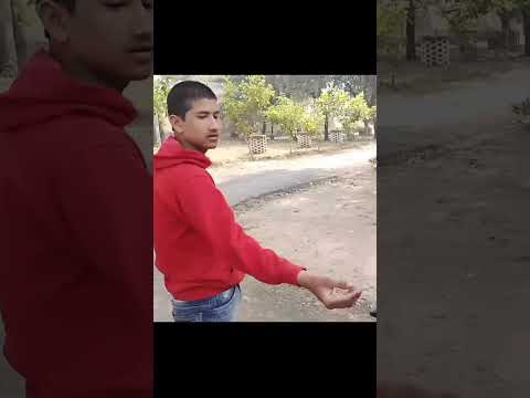 ผลสลากกินแบ่งรัฐบาล วันที่ 1 พย. 2567