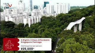 What’s Included in Our Singapore Tour Package?