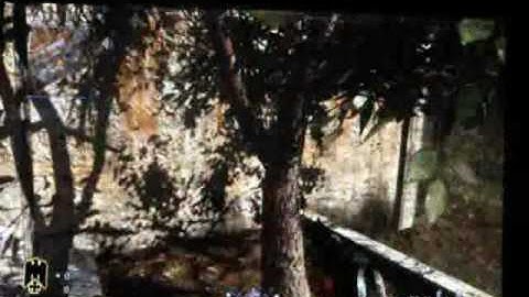 cod5 out of Asylum, and Amazing hiding spots