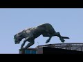 Carolina panthers debut mixedreality panther at home opener