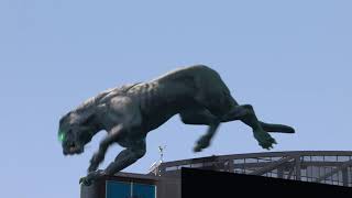 Carolina Panthers Debut Mixed-Reality Panther At Home Opener