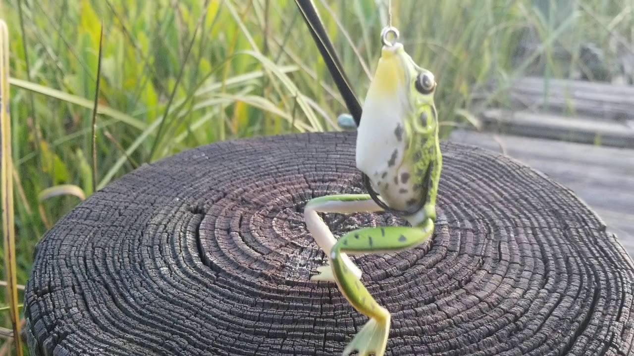 Tap dancing frog lure YouTube