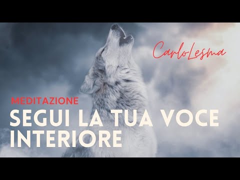 Video: La Tua Mente è Sotto Controllo? - Visualizzazione Alternativa