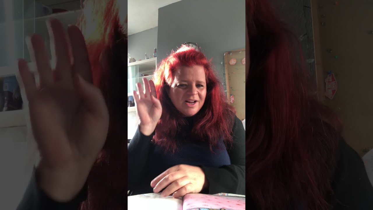 SSE/BSL ‘The Sleepy Owl’ story