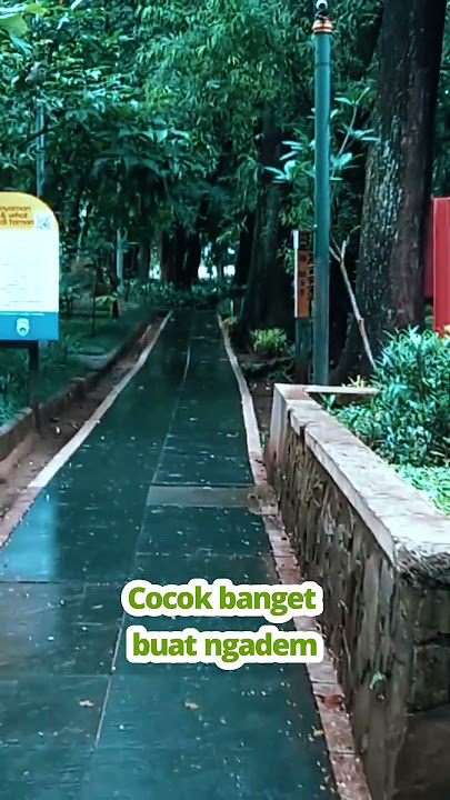 Ada HUTAN DITENGAH KOTA? Tempat Ngadem GRATIS di Bandung | Taman Lansia Bandung
