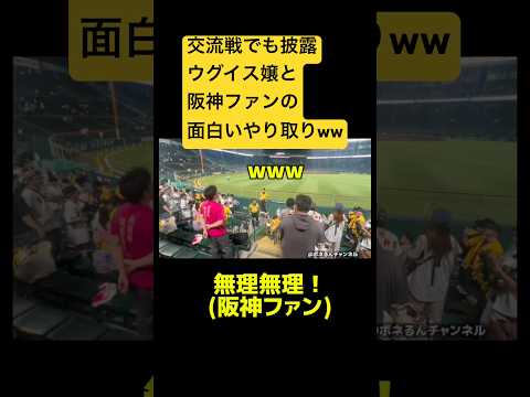 【交流戦でも披露】ウグイス嬢と阪神ファンによる面白いやり取りがこちら #阪神 #応援団 #交流戦 #面白い #ウグイス嬢