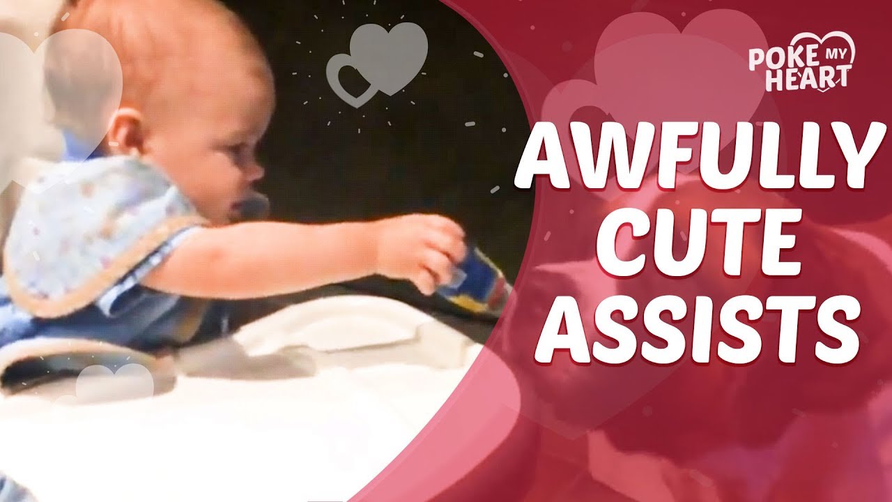 cute videos youtube Awfully Cute Assists | Poke My Heart