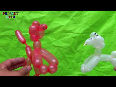 Video: Cara Membuat Anjing Dari Bola