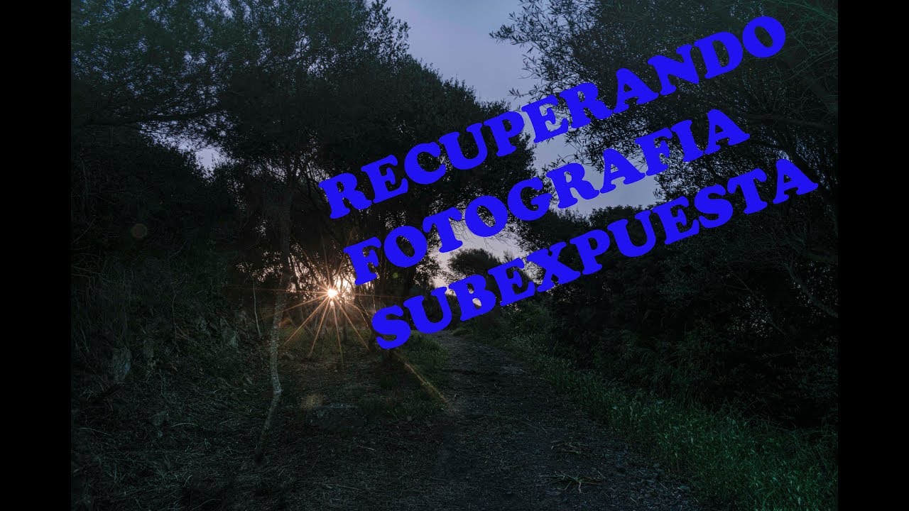 ¿ Cómo RECUPERAR SOMBRAS en ? YouTube