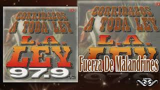 FUERZA DE MALANDRINES - Leonel Y Almikar Corridazos A Toda Ley