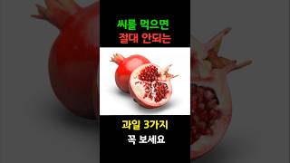 절대 먹으면 안되는 과일 씨앗 씨를먹으면 안되는 과일