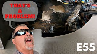 Larry's Life E55 | Mechanic Fights off Rodents to Fix a John Deere R4038 Sprayer Thumbnail
