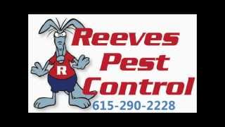 Pipkin Hills Spring Hill, TN Reeves Pest Control 615-290-2228