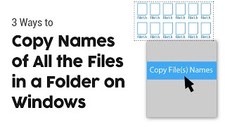 Celebrity How to Copy Names of All Files In a Folder on Windows Profile