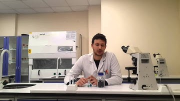 GBE 403 Term Project - Week 1