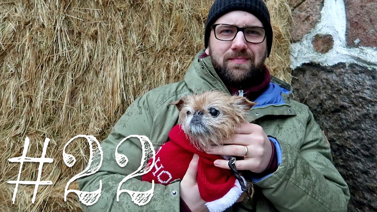 Julmarknad | Habbazutts Julkalender 2019 | #22