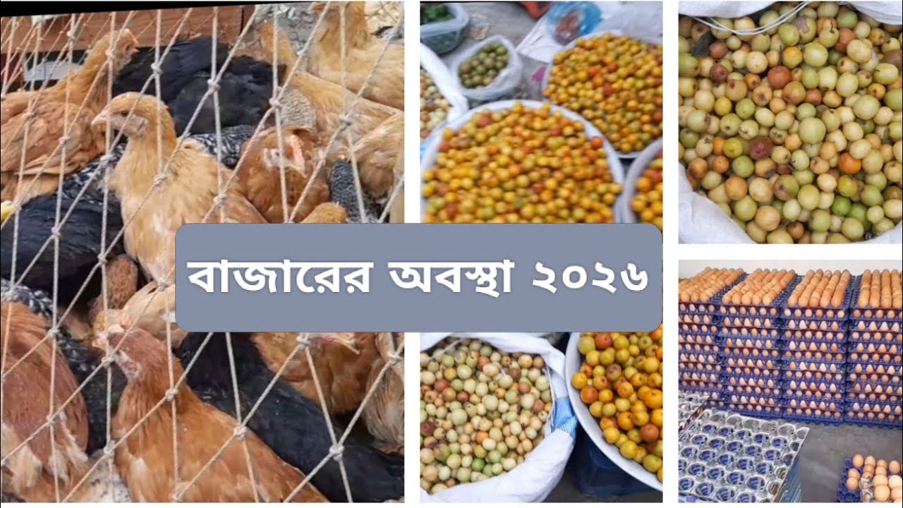 বাজারের অবস্থা (11 ফেব্রুয়ারি 2026) / Vlog -34