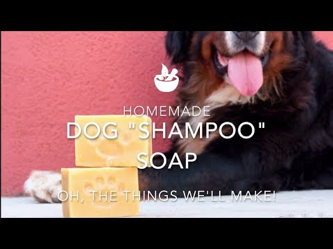 Wie man eine hausgemachte Hundeshampoo Soap Bar Make