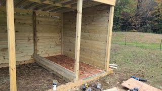Longhorn Run In Update
