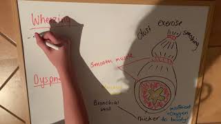Assessment Biology Vodcast