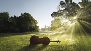 Beethoven 7th - European Music Campus Orchestra at Grafenegg - Bruno Campo