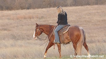 Playnwithmywildthing - trail riding #1 - ValleyViewRanch.net