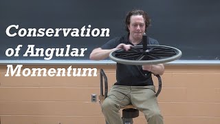Information D3 05 Chair with Wheel News