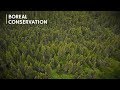 How BIG is Canada's Boreal Forest?