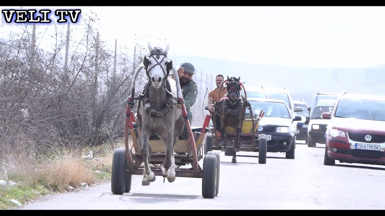 Състезание с Коне Бошко  Номер 1
