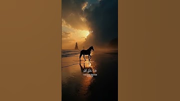 🌿سورة: لقمان .🎧الأيه:ــــ١١ــــ. 🎤القارئ: ياسر الدوسري.🛑اكتب شئ تؤجر عليه ❤️.