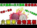 吃錯火龍果等於吃毒 營養師揭密 紅肉火龍果vs白肉火龍果 致命差異 火龍果的7大恐怖真相 醫生不敢說的 天然瀉藥 危機 附2招黃金吃法 吃錯火龍果等於吃毒 營養師揭密 紅肉火龍果vs白肉火龍果 致命差異 火龍果的7大恐怖真相 醫生不敢說的 天然瀉藥 危機 附2招黃金吃法