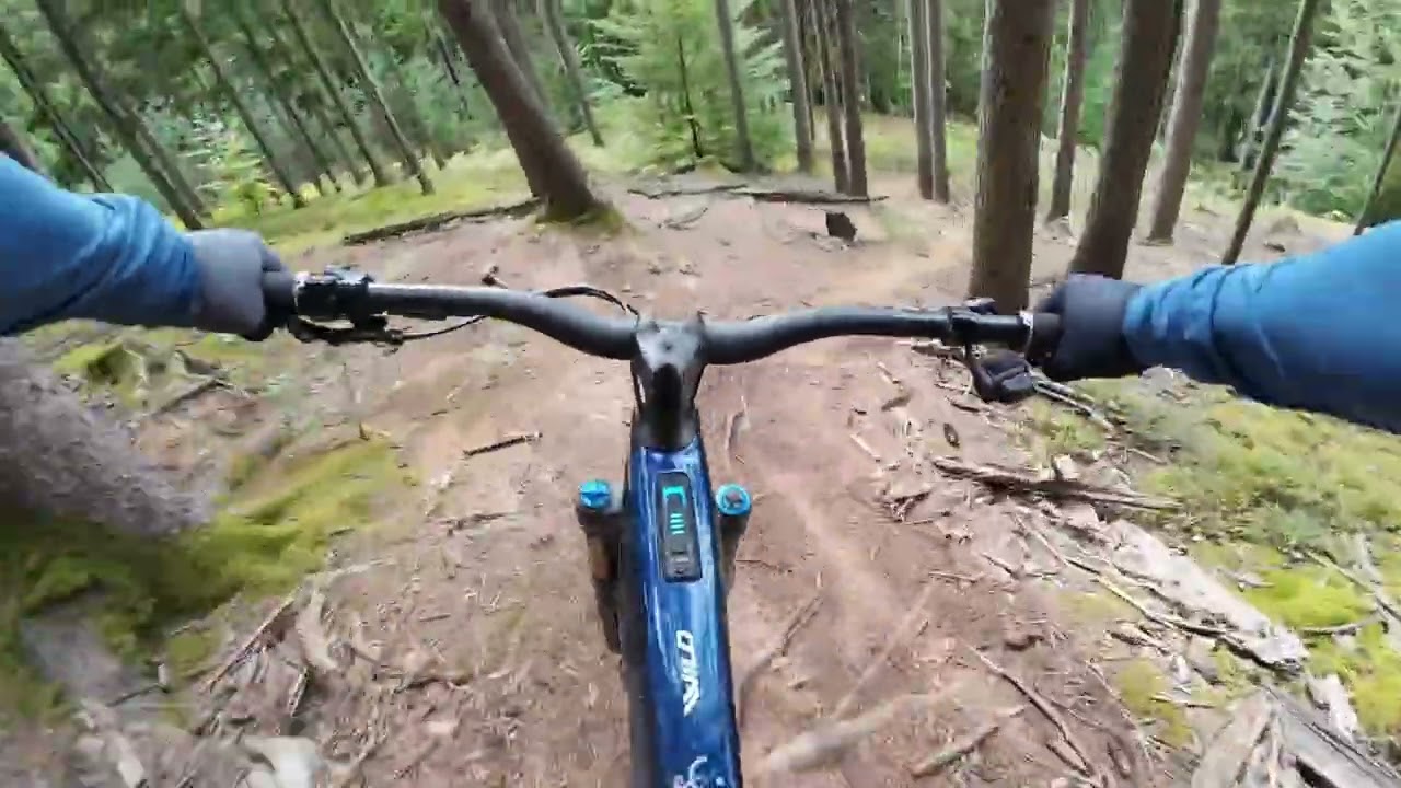 Oswaldiberg Villach Downhill 