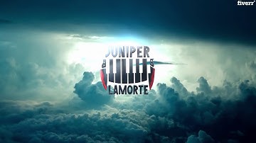 Create custom logo animation, intro, and outro - Best Logo Animation service