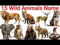 Wild Animals for Kids | Learn 15+ Wild Animal Names with Pictures | Educational Video