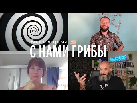 С нами грибы. Грибы и гипноз. Михаил Вишневский, Александр Кирпичёв, Елена Александрова