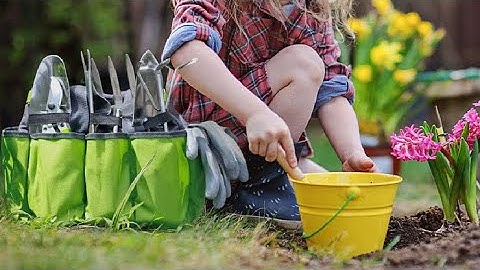 FrSara Neck Fan, WORKPRO Garden Tool Bag Organizer, PrunePro Pruning Shears for Gardening