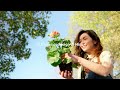 La tua cura per l'Outdoor (che è anche estetica)