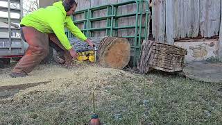 Mcculloch 797, Cutting Large Pine Log