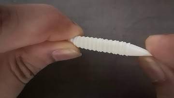 Straw Snap through Buckling