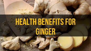 Health Benefits Of Ginger E Up Your Wellness Journey