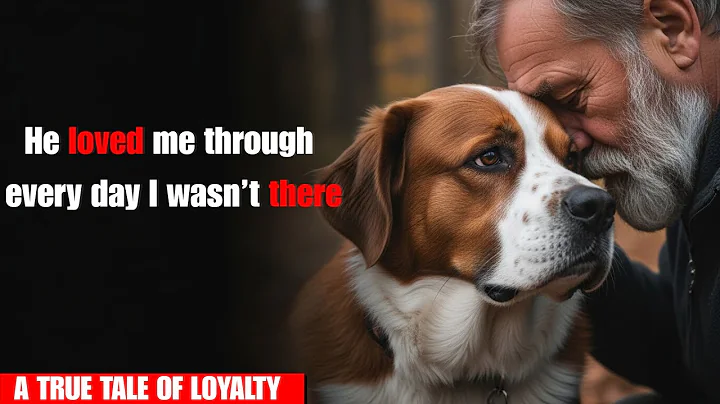 He Returned Home After 5 Years — And His Dog’s Bed Was Gone… But the Pain Was Still There