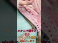 オオニベ切身#short #shorts #new #fish #japan #howto #おすすめ #簡単 #料理 #釣り #楽しい #美味しい
