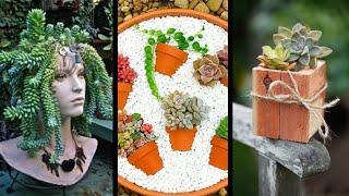 20 IDEIAS Com SUCULENTAS E Como PLANTAR