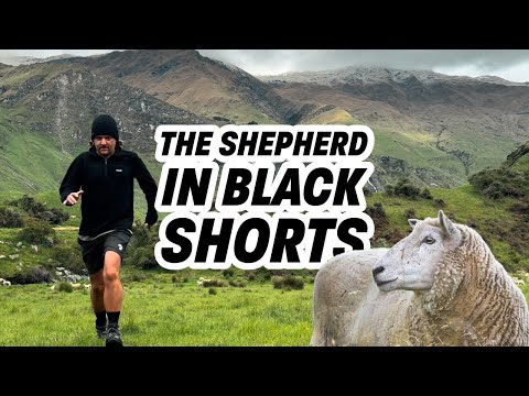 The Shepherd in Black Shorts - New Zealand