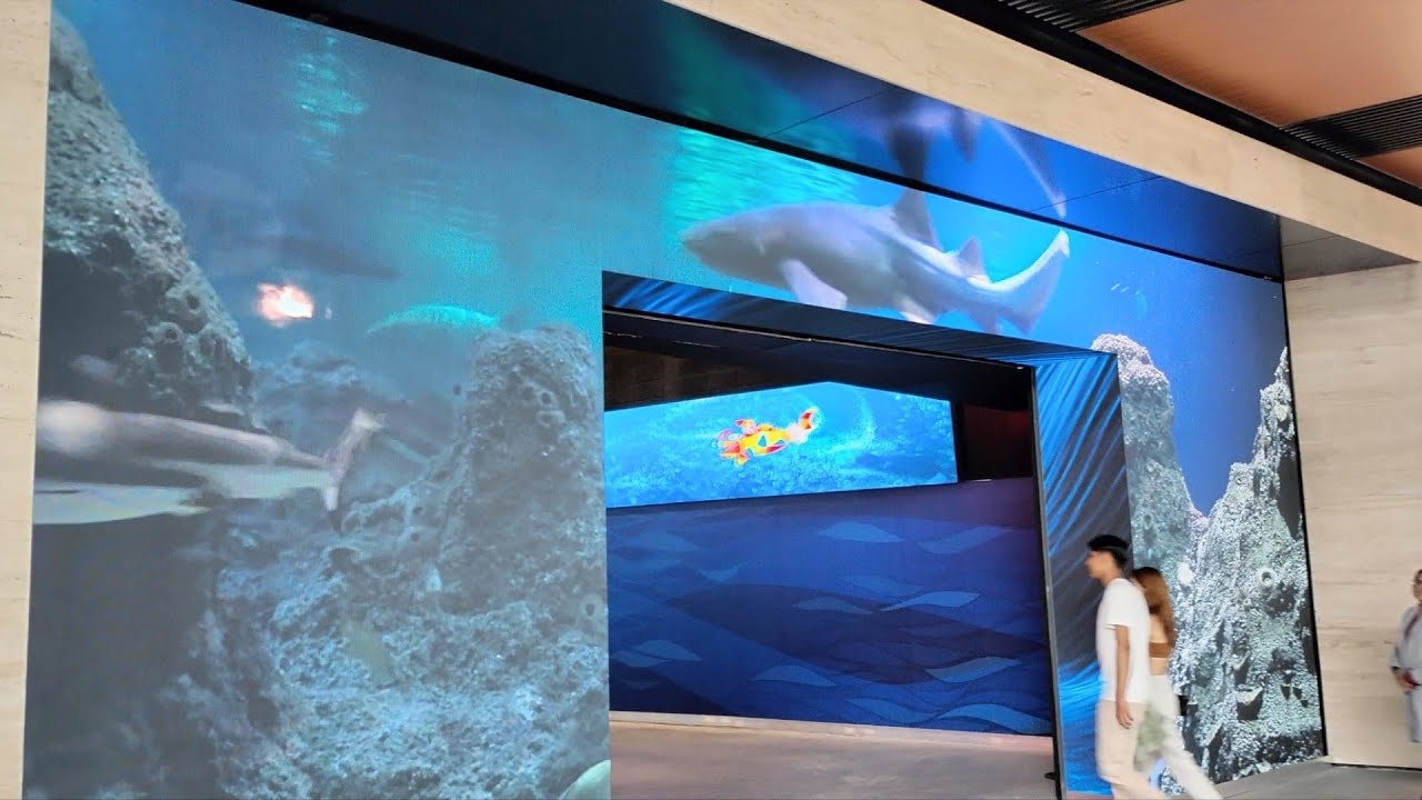 Acuario Michin Cdmx para visitarlo el fin de semana en familia - YouTube