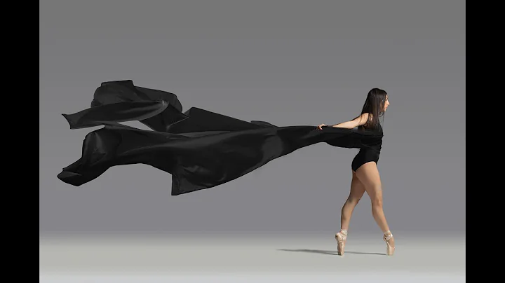 Christopher D'Ambrosio Photography